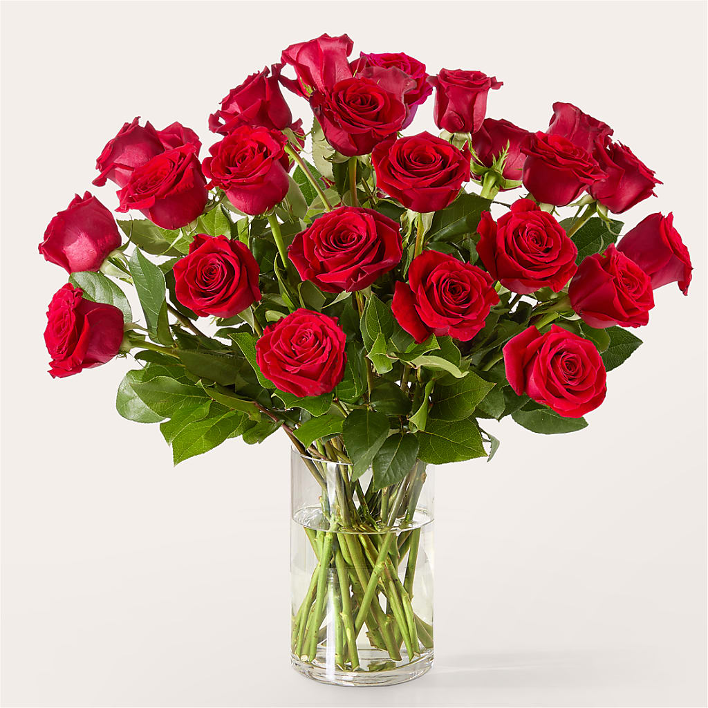 The One Red Rose Bouquet –  The Andes Flowers Llc, Fort Myers FL