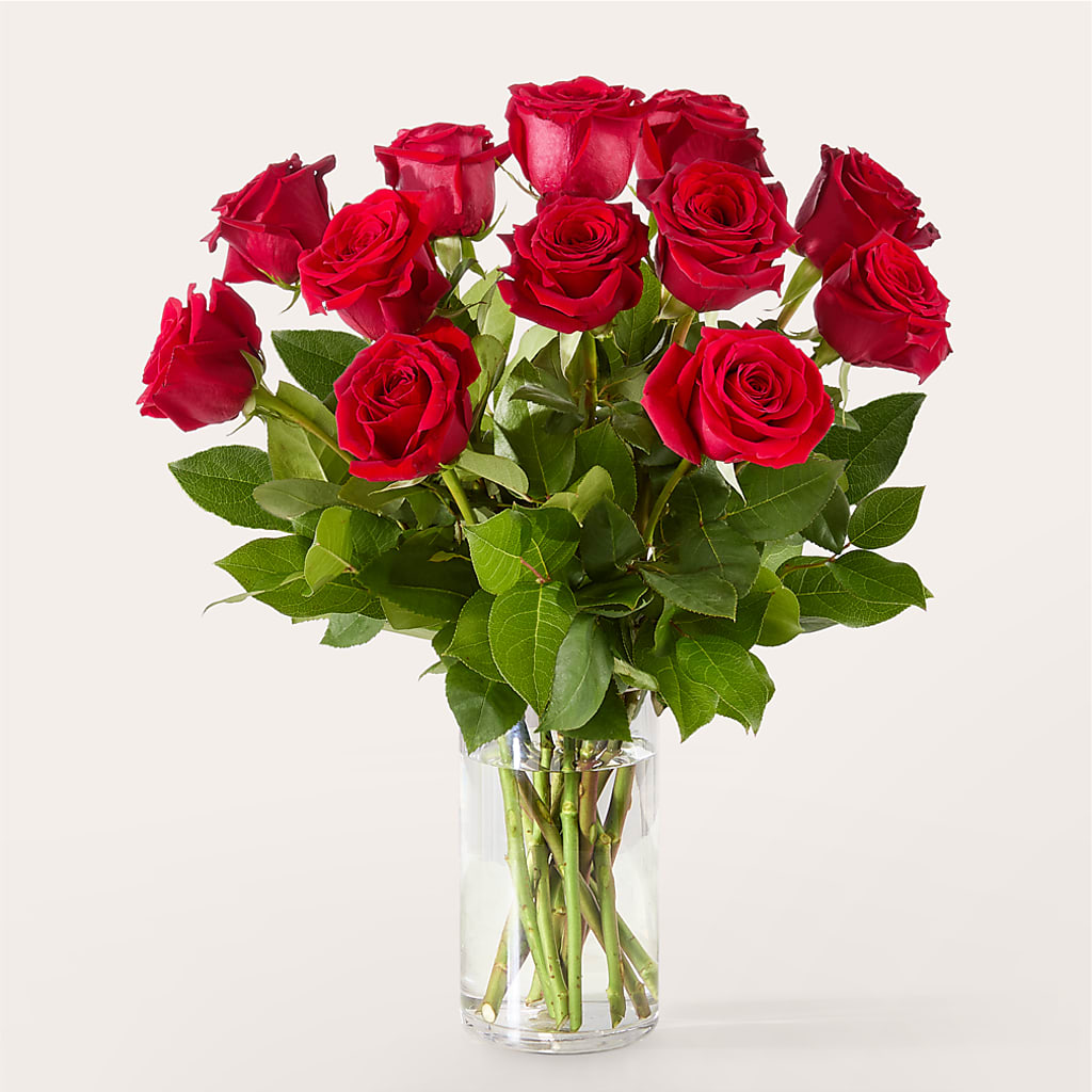 The One Red Rose Bouquet –  The Andes Flowers Llc, Fort Myers FL