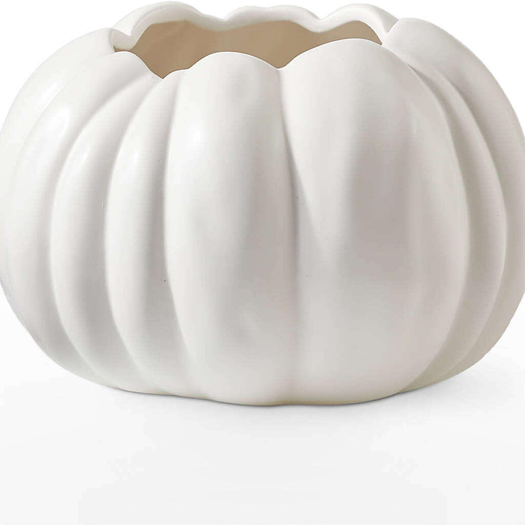 Autumn Air Pumpkin Bouquet –  The Andes Flowers Llc, Fort Myers FL